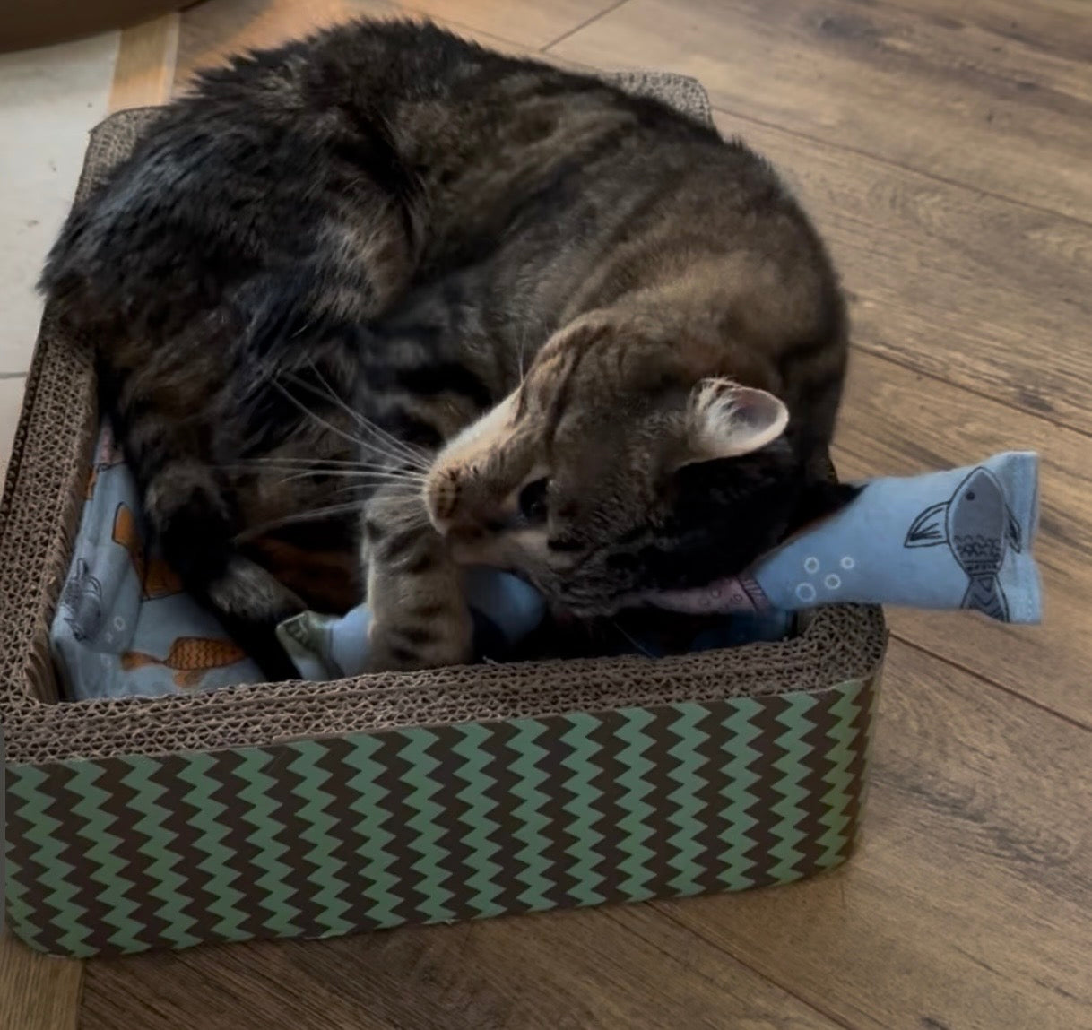 Meow Madness Cat Kicker Toy