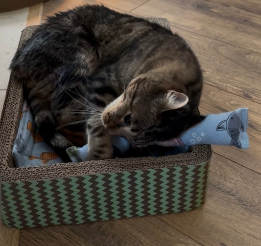 Meow Madness Cat Kicker Toy