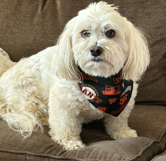 Pup Paws Dog Bandanas